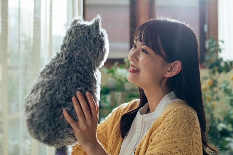 robot meowever gối ôm biết tương tác như mèo thật robot meowever gối ôm biết tương tác như mèo thật